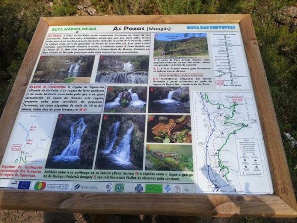 Ruta Dos Petroglifos
