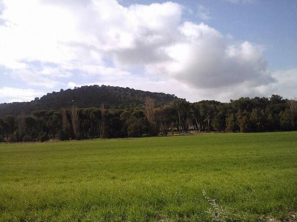 Ruta de la Pared del Castro