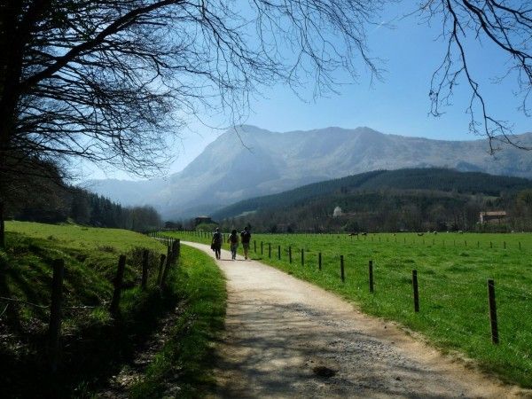 Tren Minero de Arrazola