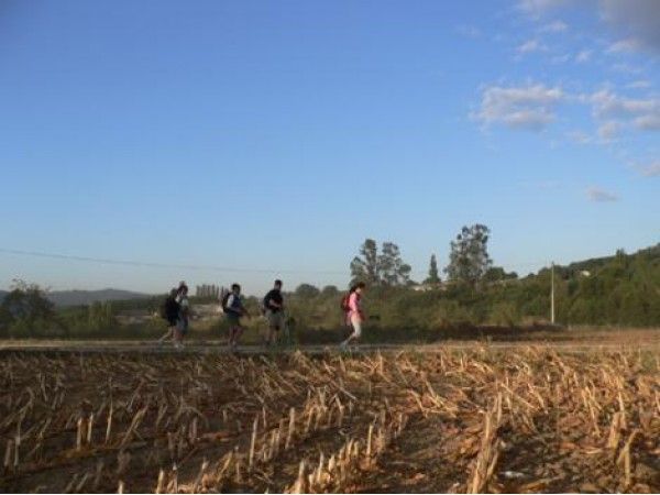 El Camino de Santiago organizado