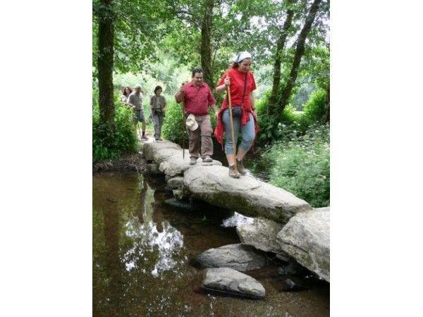 El Camino de Santiago organizado