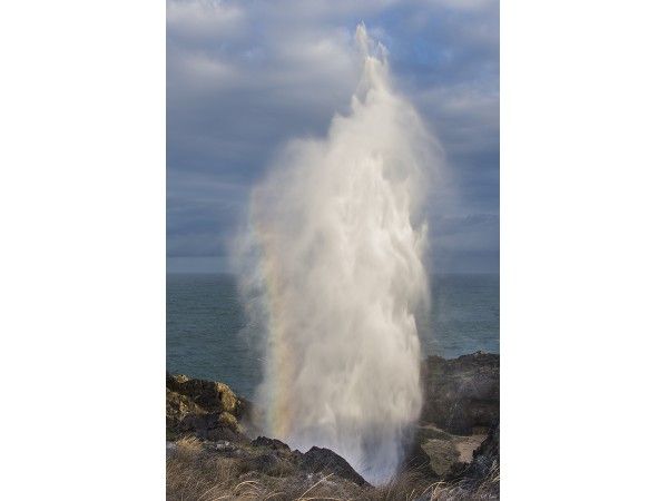 Bufones de Cue
