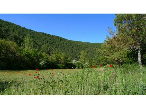 Ruta de la Vall de Llanera
