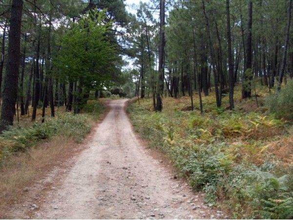 Subida a la Peña de Cenicientos
