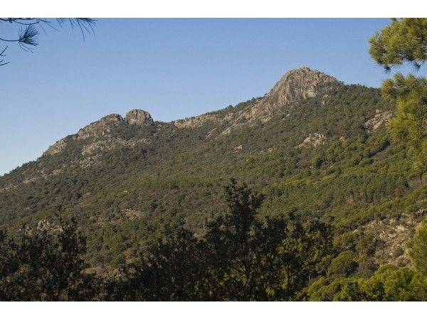 Subida a la Peña de Cenicientos