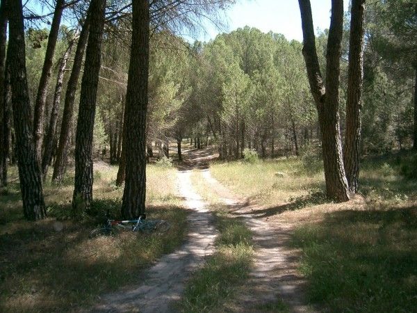 Ruta de la Pared del Castro