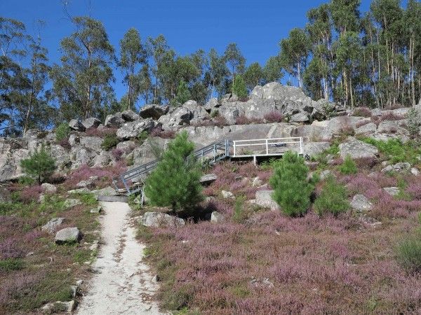 Ruta Dos Petroglifos