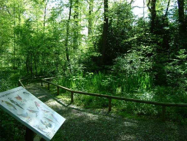 Santa Margarida y la Fageda d'en Jordà