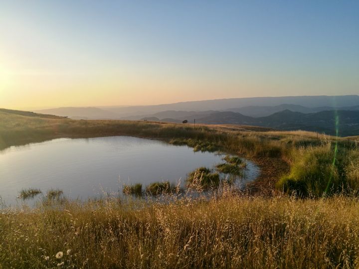 Paseo hasta la cima de La Mola