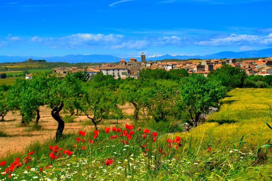 El Valle del Rio Sió