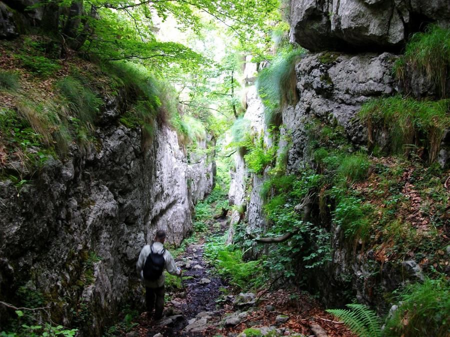 Parque Natural Collados del Asón