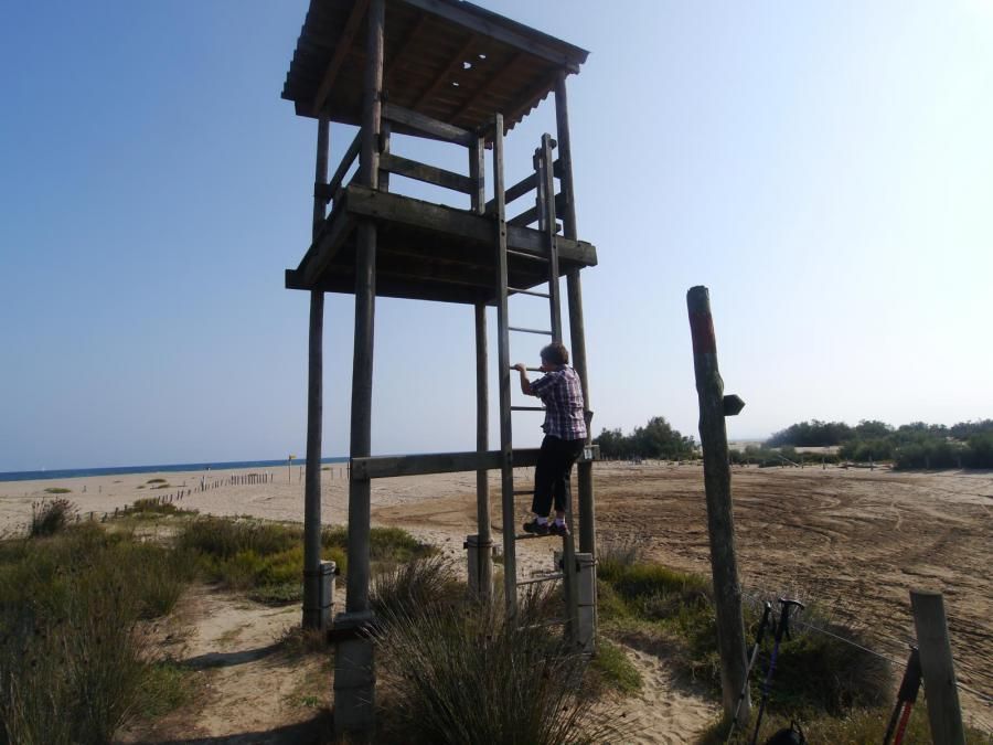 Visita al Parque Natural de Els Aiguamolls de l'Empordà