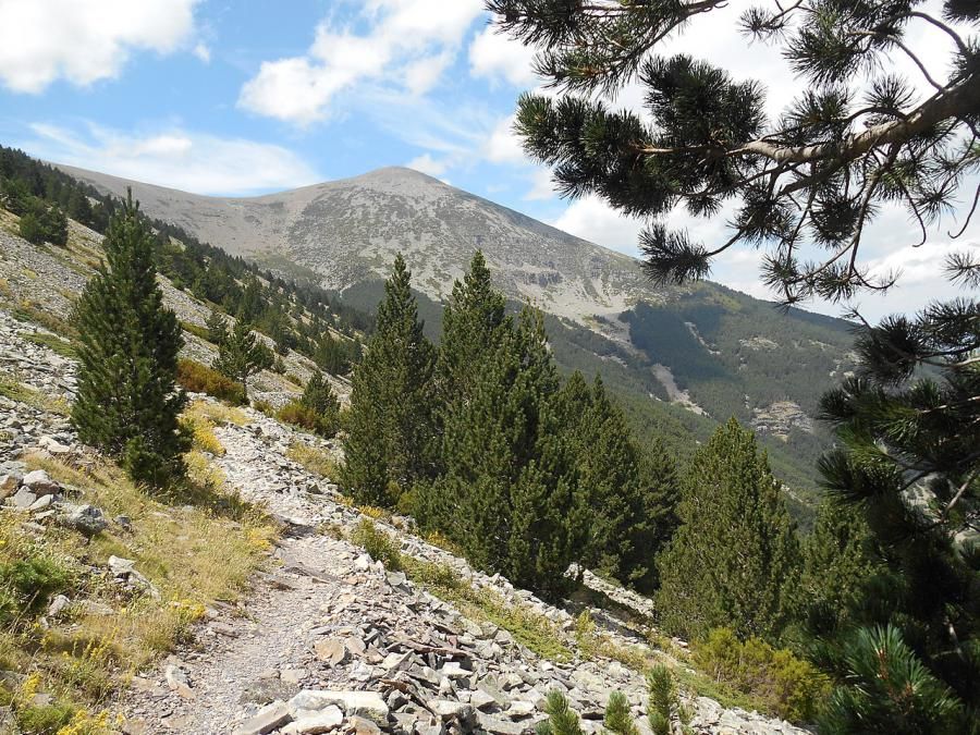 Moncayo y Peña Negrilla