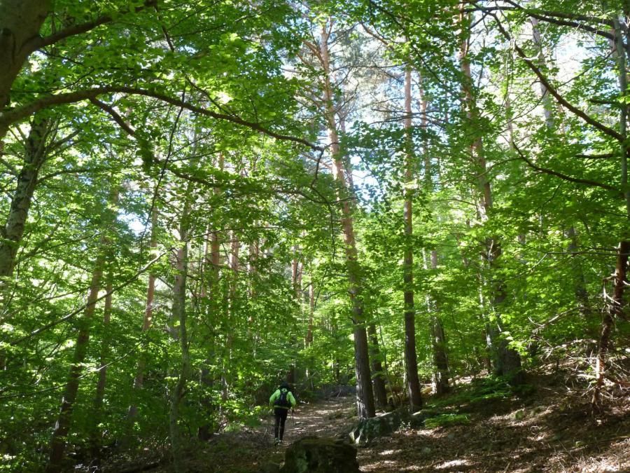 Moncayo y Peña Negrilla