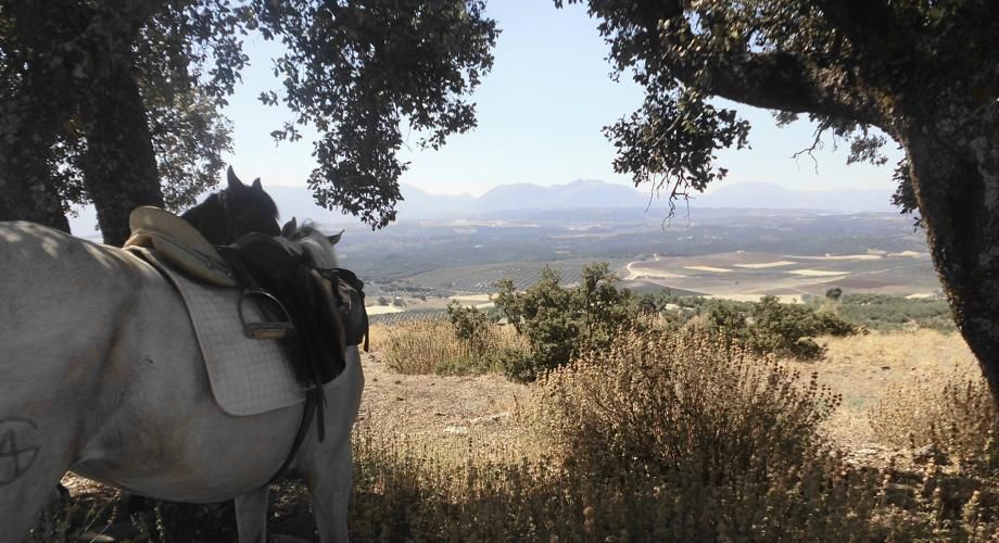 Ruta Seis Días